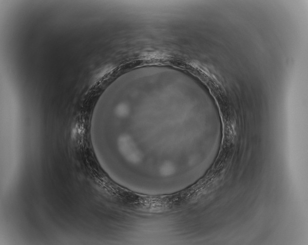 X0000115391254200911101445
