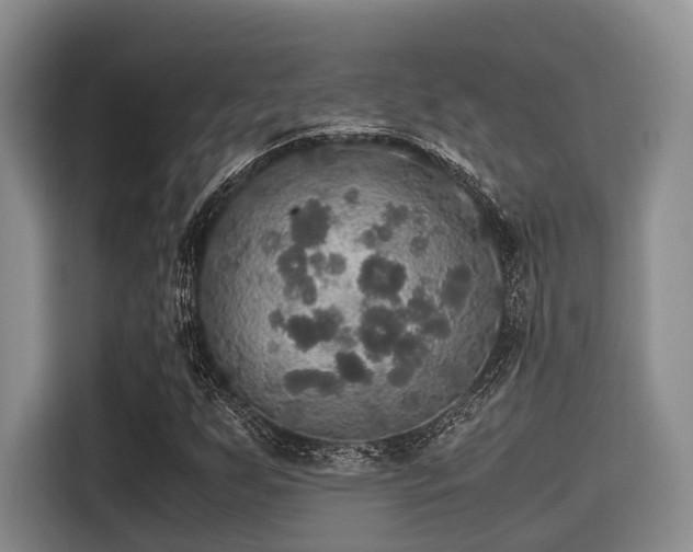X0000115391255200911101445