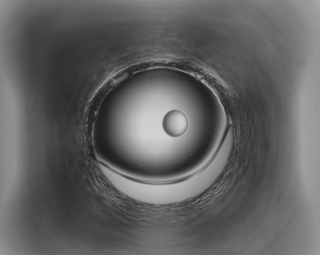 X0000115391256200911101445