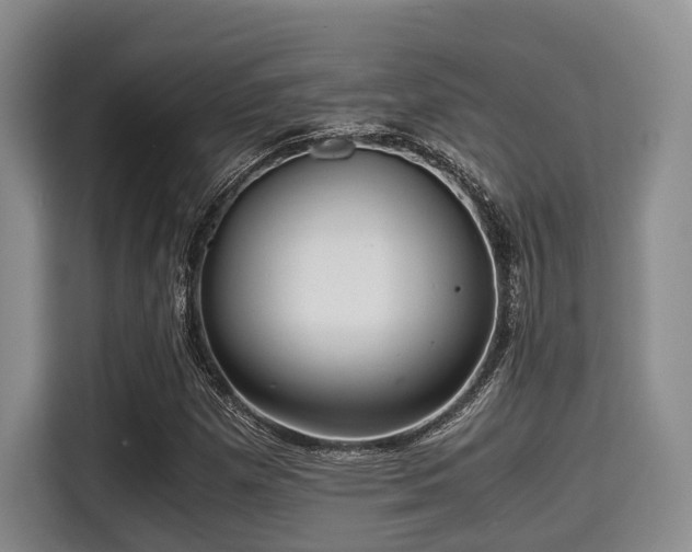 X0000115391257200911101445