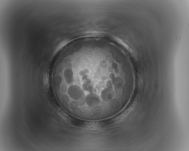 X0000115391259200911101445