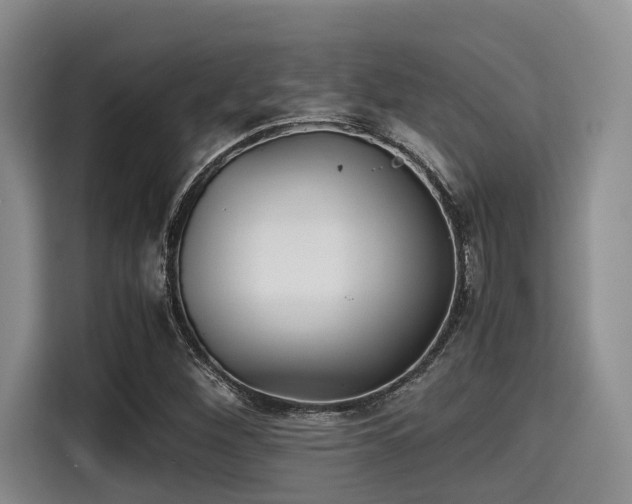 X0000115391260200911101445
