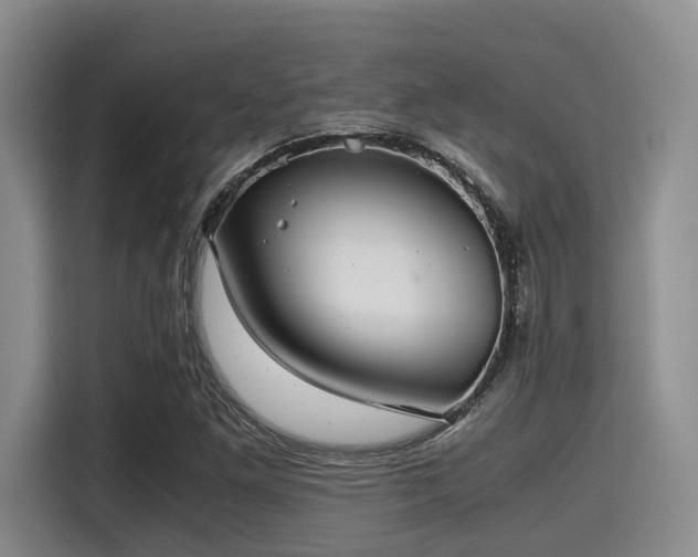 X0000115391261200911101445