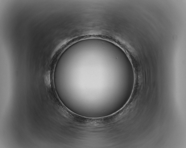 X0000115391262200911101445