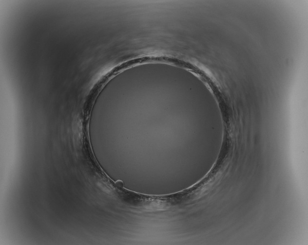 X0000115391263200911101445
