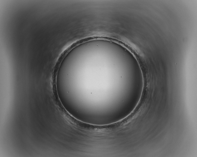 X0000115391264200911101445