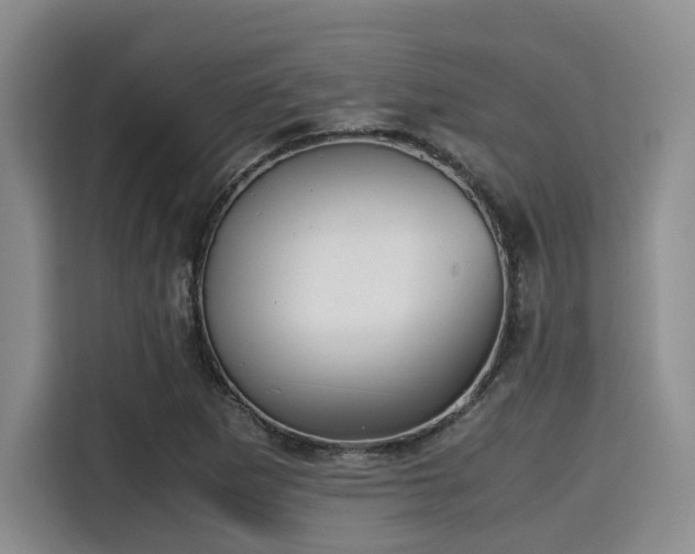 X0000115391265200911101445