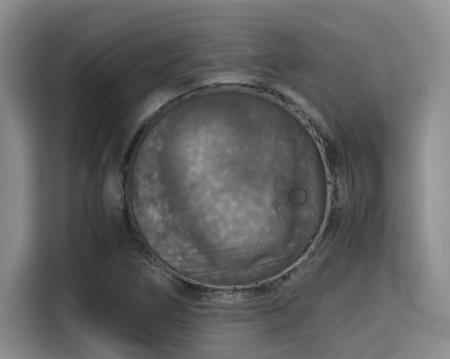 X0000115391266200911101445