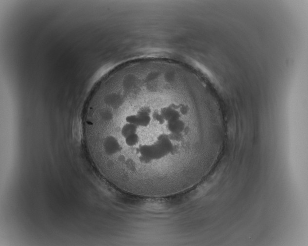 X0000115391267200911101445