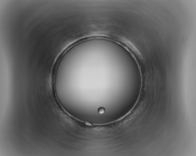 X0000115391268200911101445