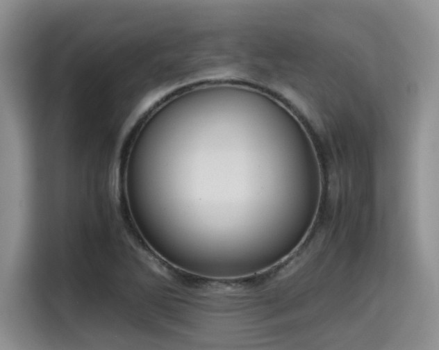 X0000115391270200911101445