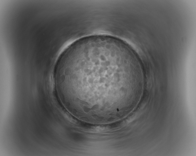 X0000115391271200911101445