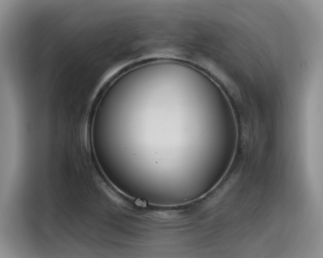 X0000115391272200911101445