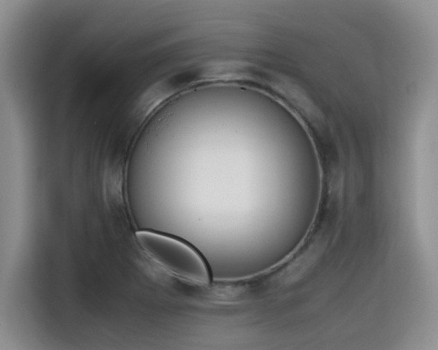 X0000115391273200911101445