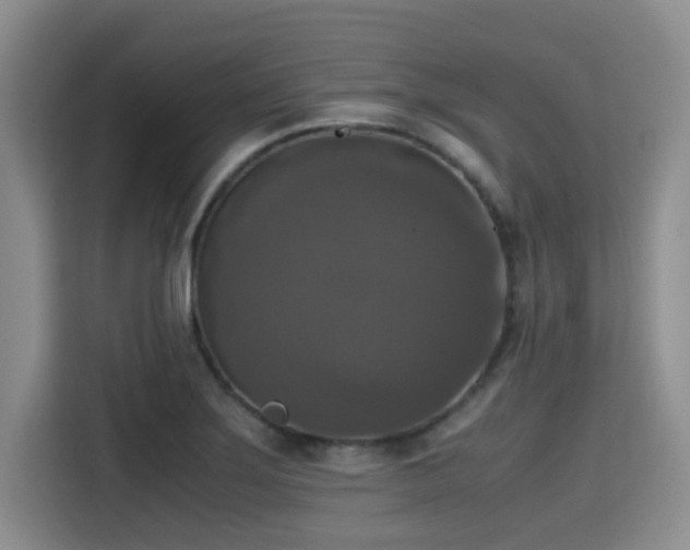 X0000115391275200911101445
