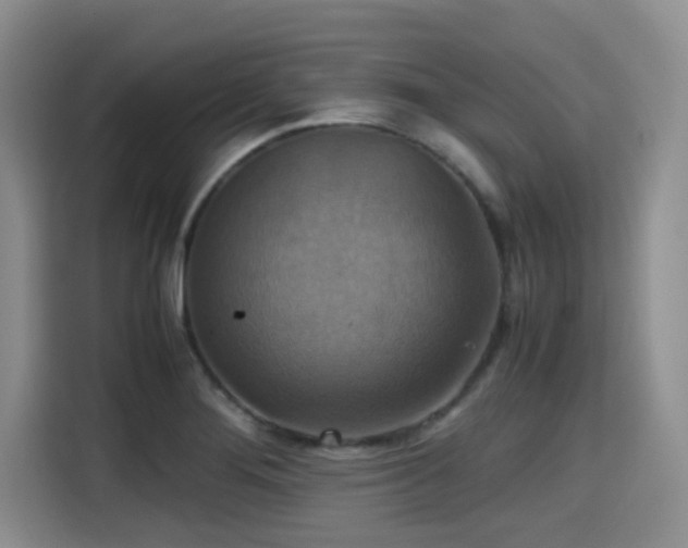 X0000115391276200911101445