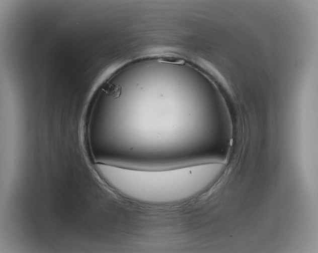 X0000115391277200911101445