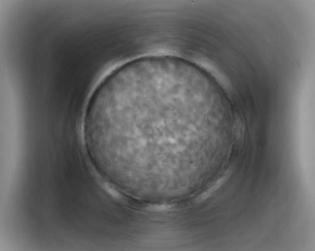 X0000115391278200911101445