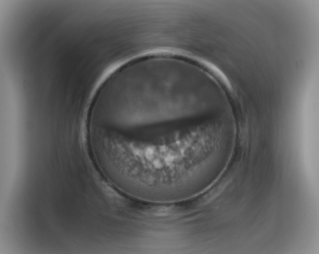 X0000115391279200911101445