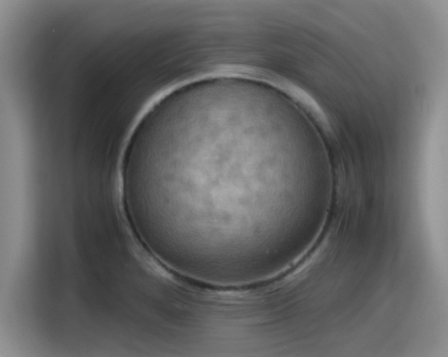 X0000115391280200911101445