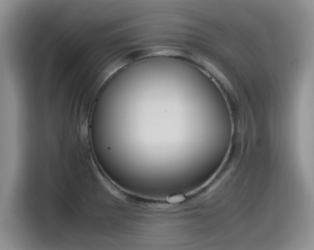 X0000115391281200911101445