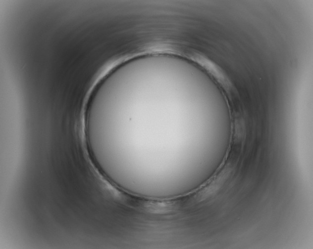 X0000115391286200911101445