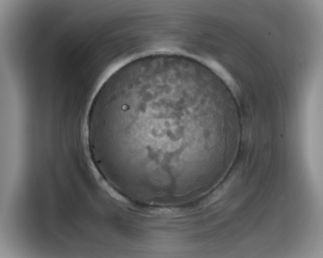 X0000115391287200911101445