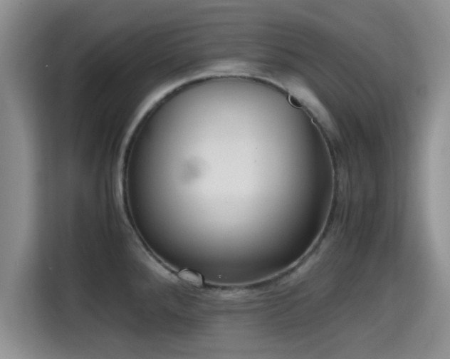 X0000115391288200911101445