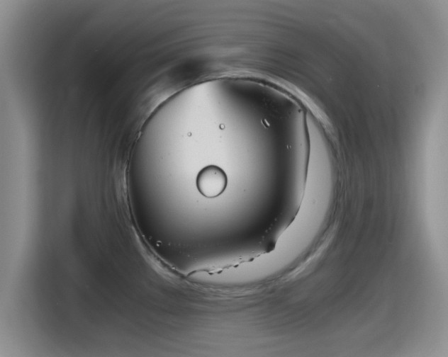 X0000115391289200911101445