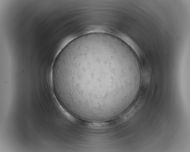 X0000115391290200911101445
