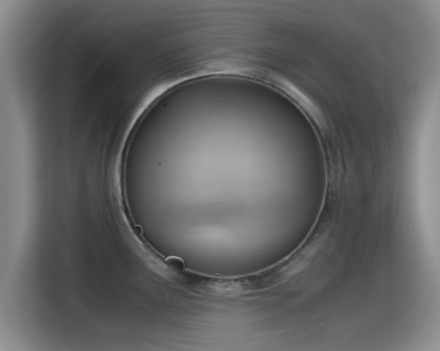 X0000115391291200911101445