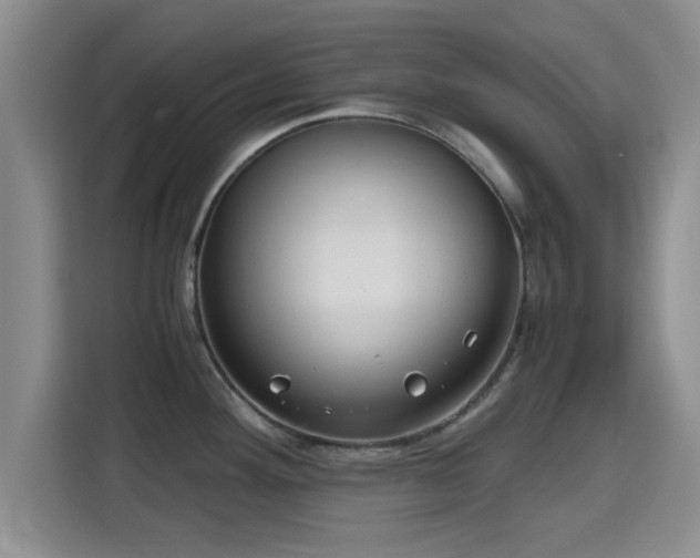 X0000115391292200911101445