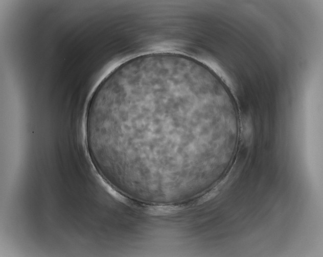X0000115391294200911101445