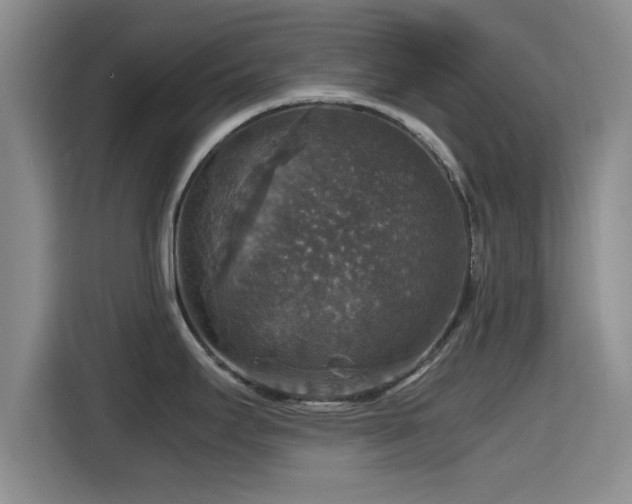 X0000115391295200911101445