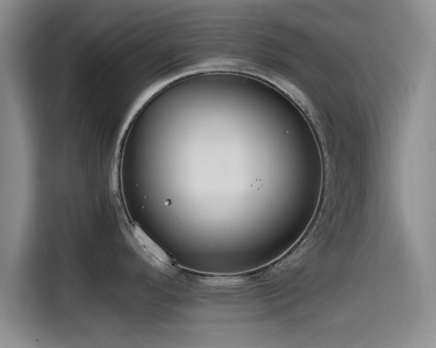 X0000115391296200911101445