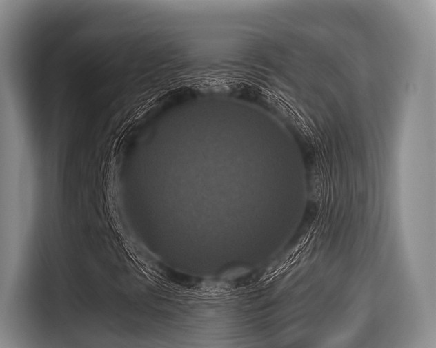 X0000115391297200911101444
