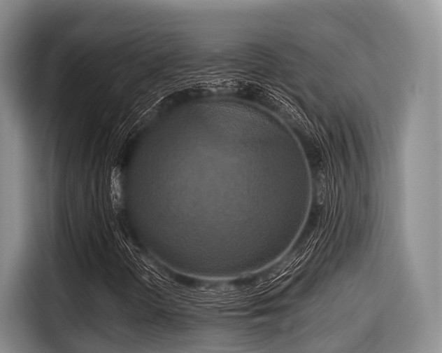 X0000115391298200911101444