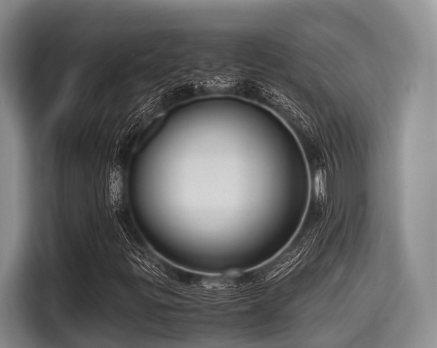 X0000115391299200911101444