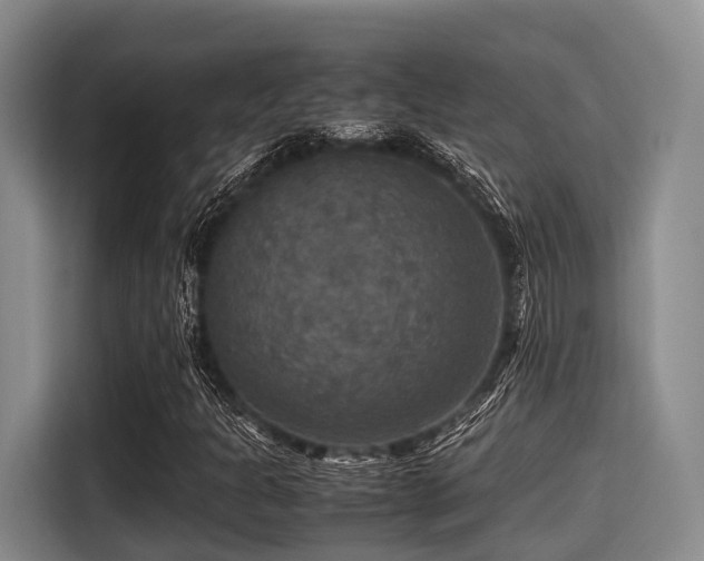 X0000115391301200911101444