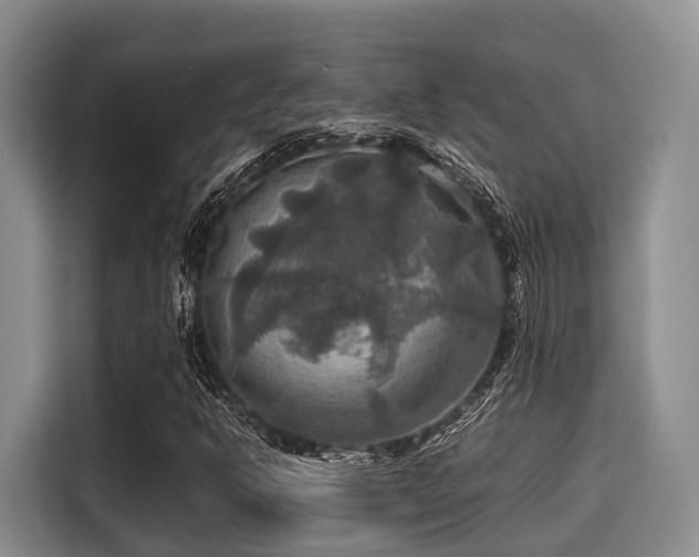 X0000115391302200911101444