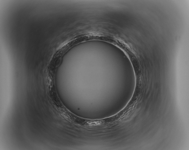 X0000115391303200911101444