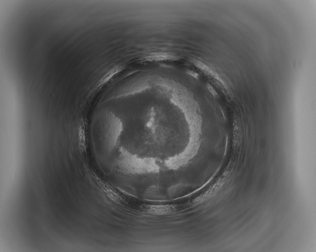 X0000115391305200911101444
