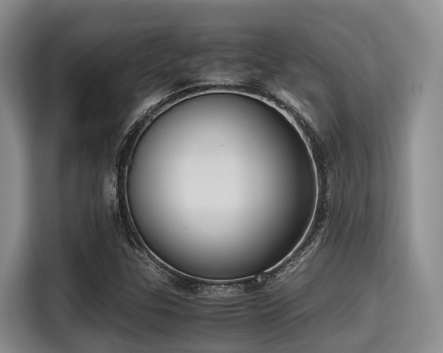 X0000115391307200911101444