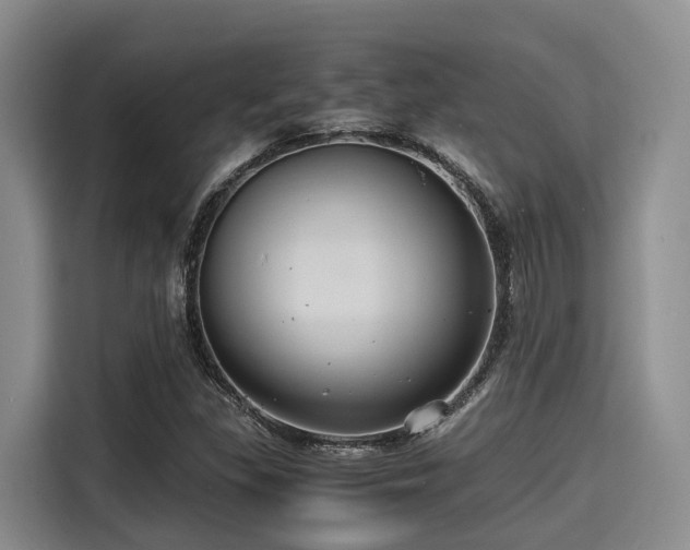 X0000115391309200911101444