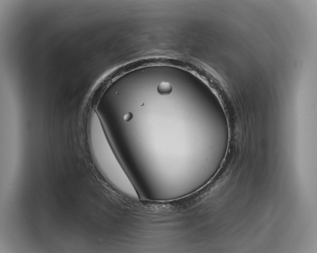 X0000115391310200911101444
