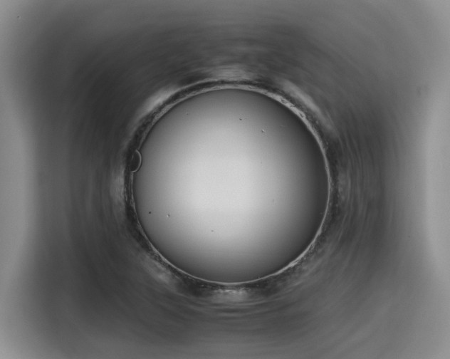 X0000115391315200911101444
