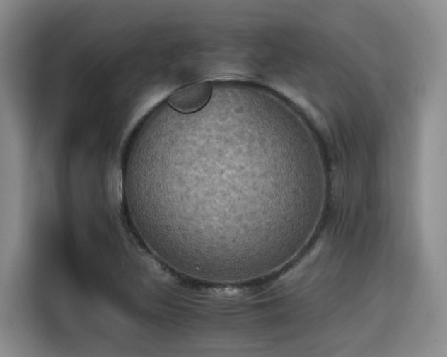X0000115391317200911101444
