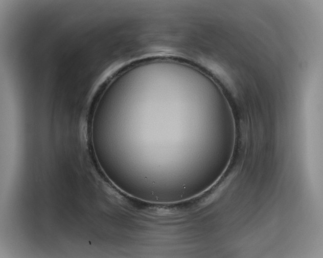 X0000115391318200911101444