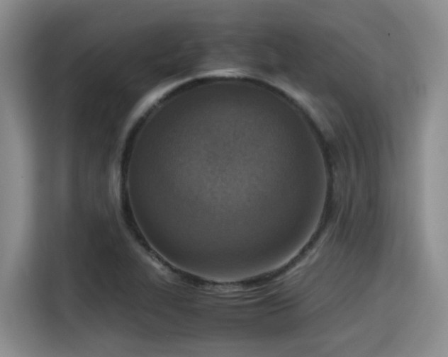X0000115391319200911101444