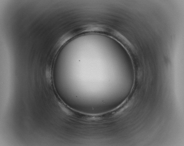 X0000115391321200911101444